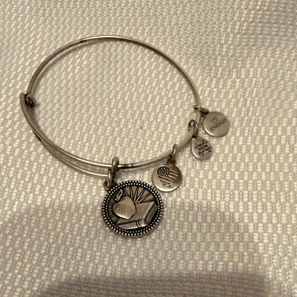 Alex and‎ Ani Apple Book Owl Education Expandable Bangle Silver Tone Bracelet